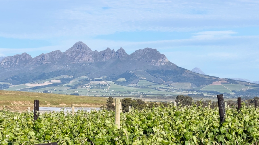 Commercial Property for Sale in Stellenbosch Farms Western Cape